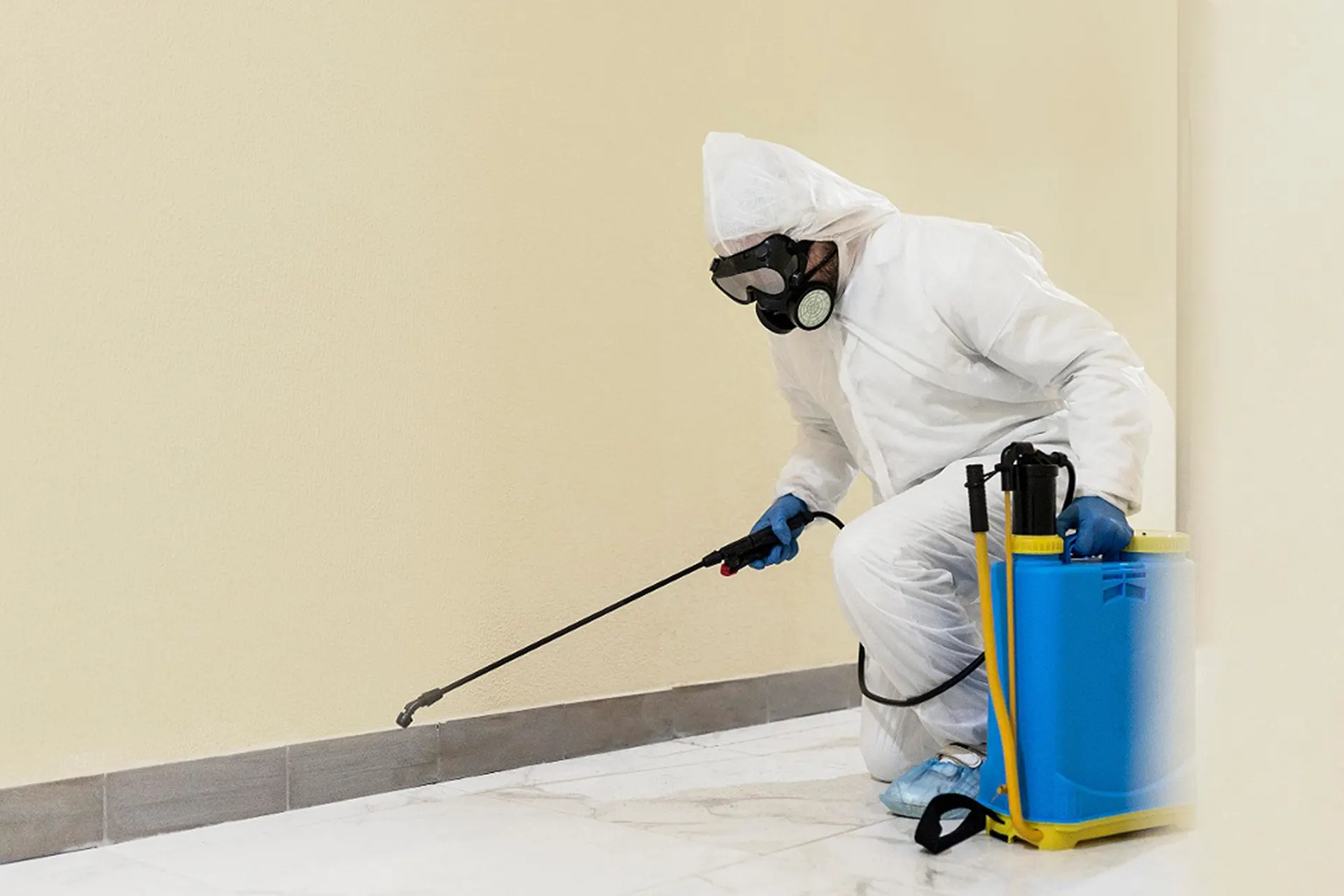Basement Mold Remediation Services for New York - A Mold Remediation Technician Spraying for Mold