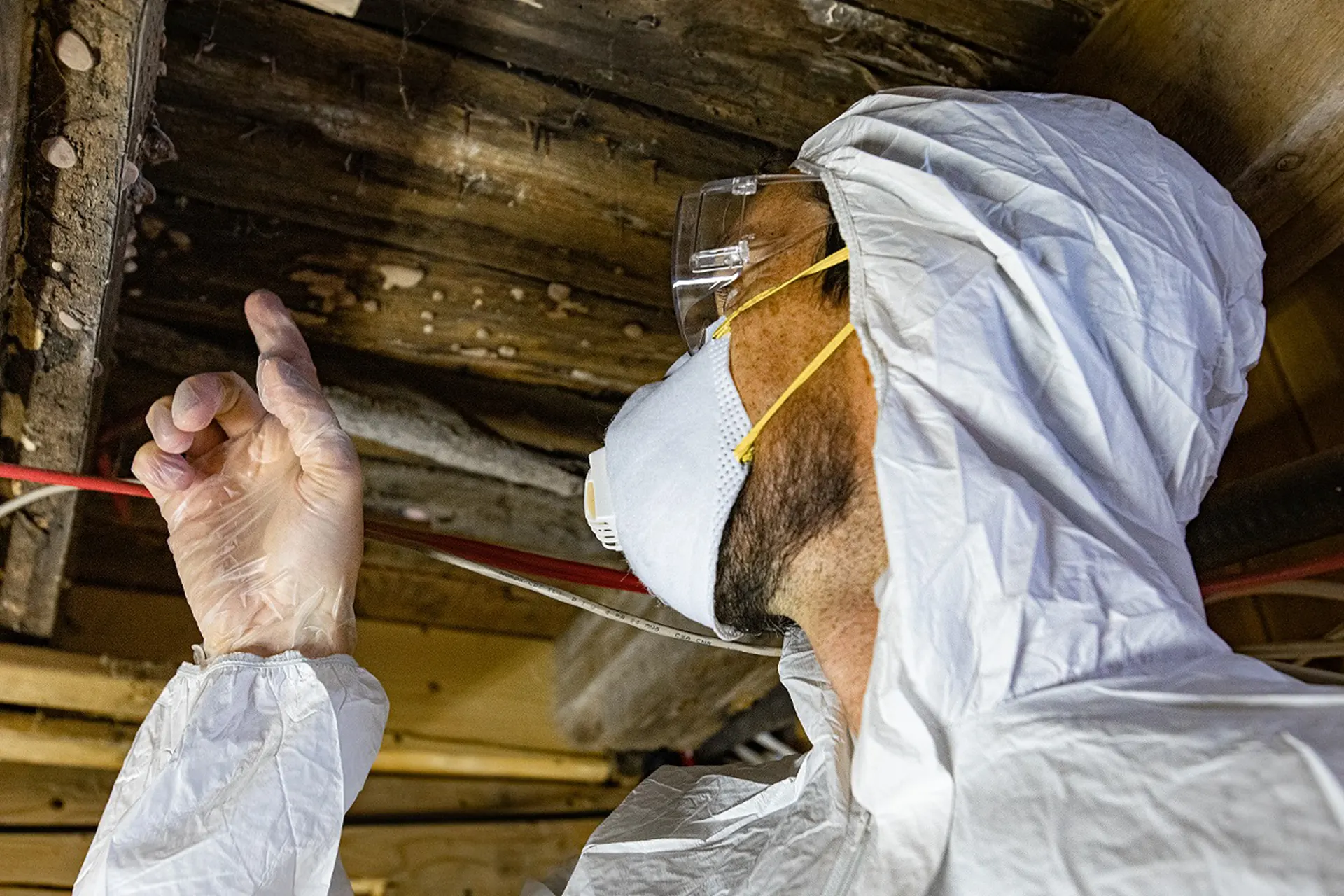 Benefits of Regular Mold Inspections - A Mold Inspection Technician Pointing to Basement Mold on the Ceiling