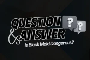 Is Black Mold Dangerous? - YouTube-style Q&A thumbnail asking ‘Is Black Mold Dangerous?’ with bold text and question mark icons