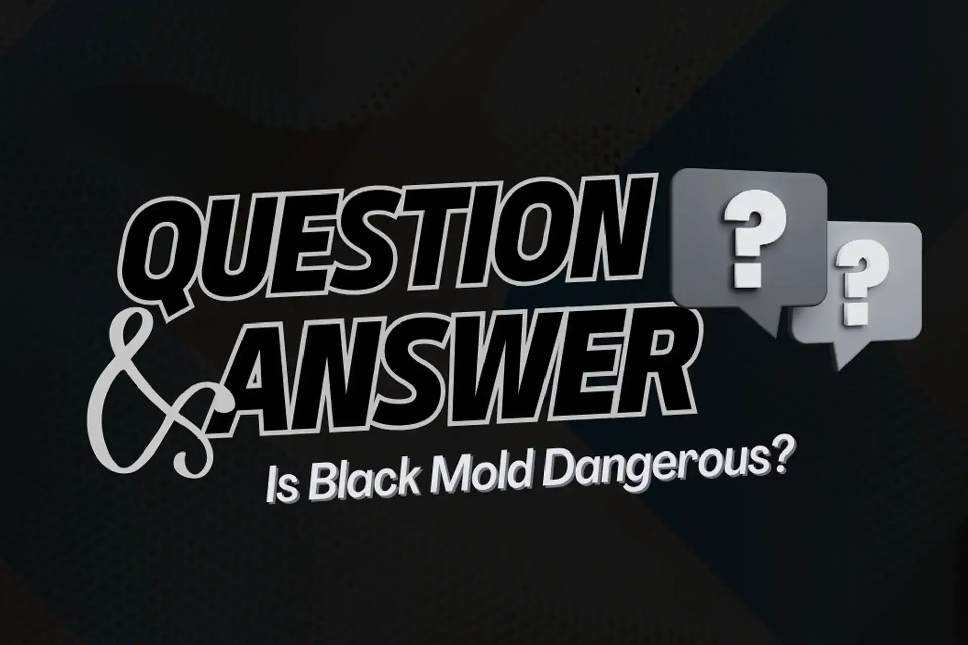 Is Black Mold Dangerous? - YouTube-style Q&A thumbnail asking ‘Is Black Mold Dangerous?’ with bold text and question mark icons