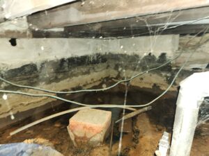 Can Mold Grow on Concrete? A Picture of a Wet Concrete Foundation