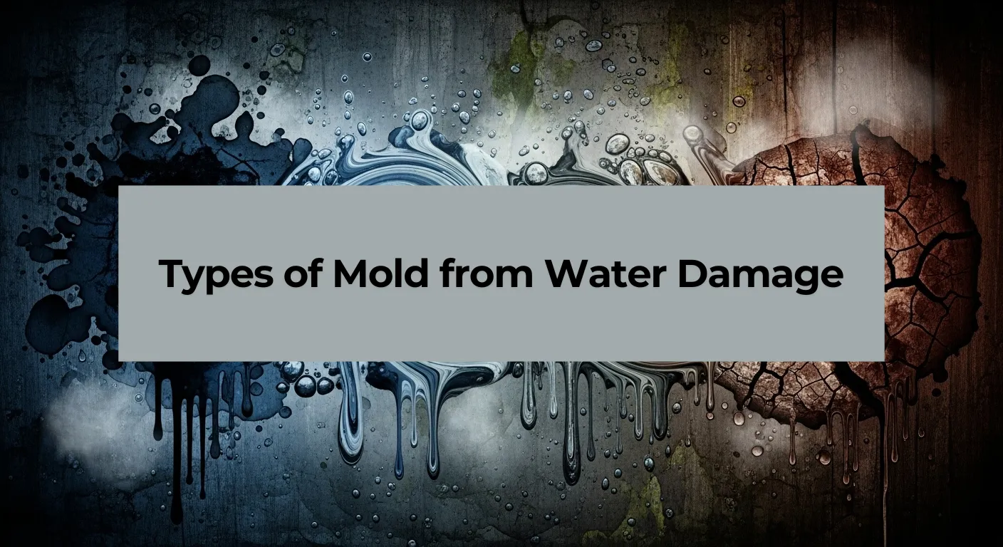Types of Mold from Water Damage - A Colored, Textured Background with the Title of the Blog Written On It