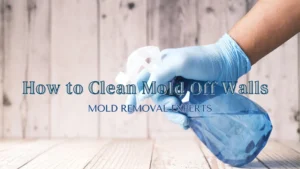Gloved hand holding a blue spray bottle of cleaner over a light wooden surface, with the title “How to Clean Mold Off Walls – Mold Removal Experts” overlaid on the image.