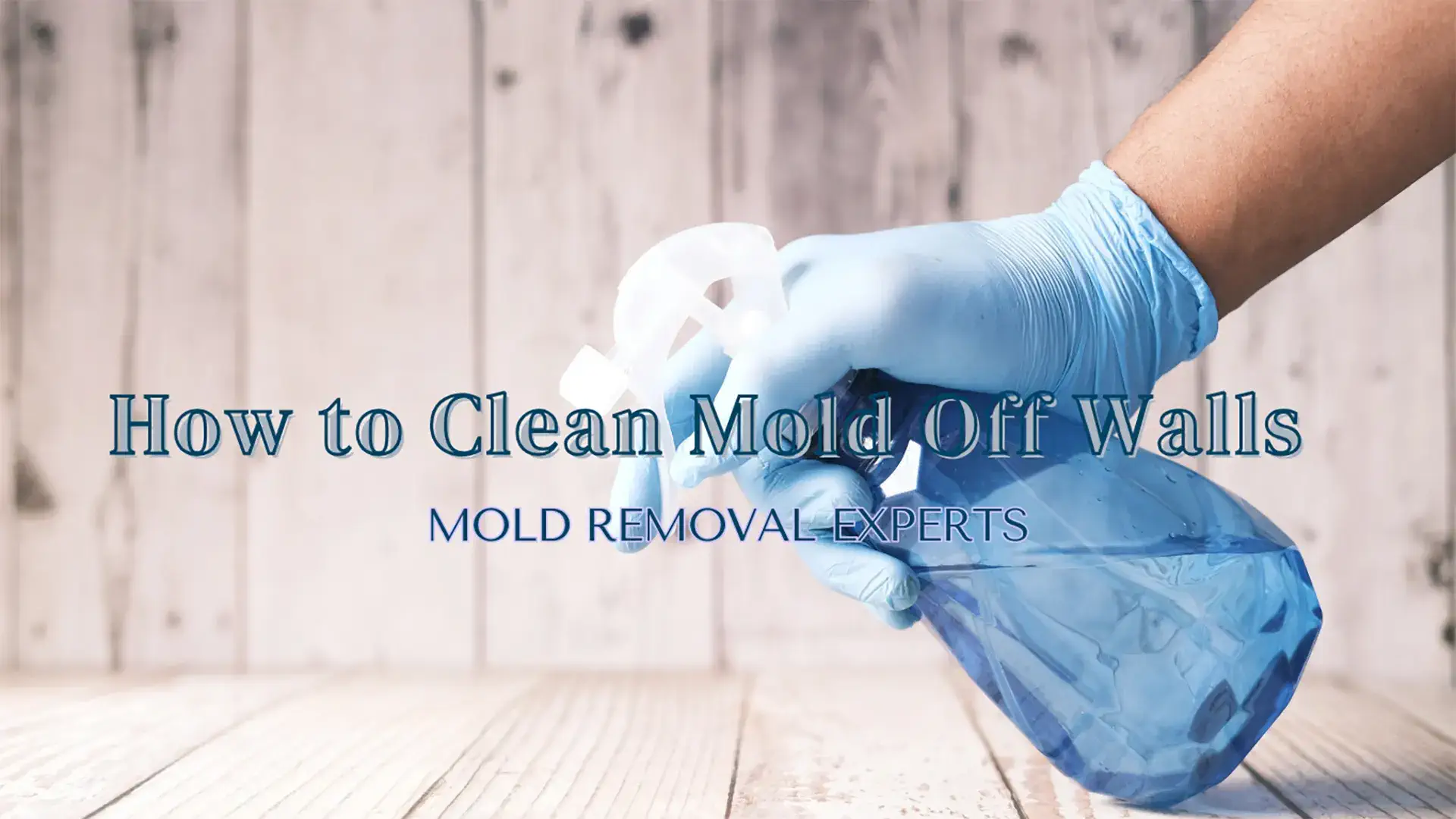 Gloved hand holding a blue spray bottle of cleaner over a light wooden surface, with the title “How to Clean Mold Off Walls – Mold Removal Experts” overlaid on the image.