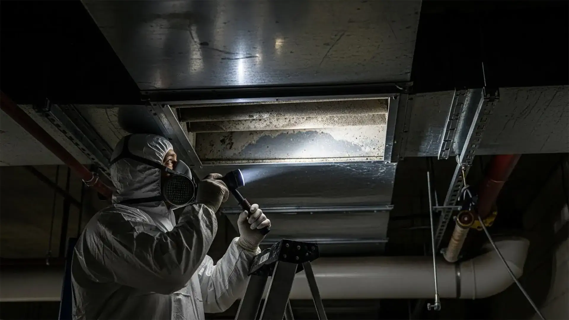 Mold buildup inside HVAC air ducts being inspected by a professional, showing contamination risk to indoor air quality.
