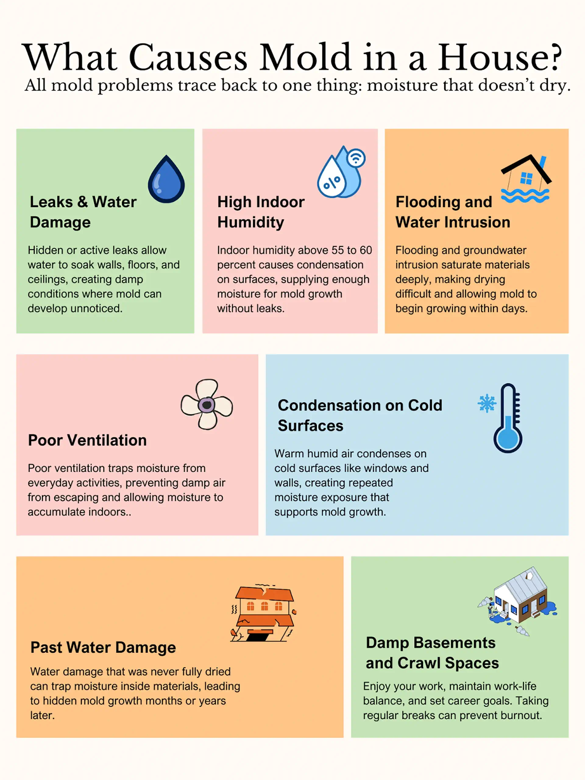 Infographic explaining what causes mold in a house, showing moisture as the root cause with leaks, humidity, flooding, poor ventilation, condensation, and damp basements.
