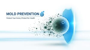 Mold Prevention Guide Written on a White and Blue Graphic