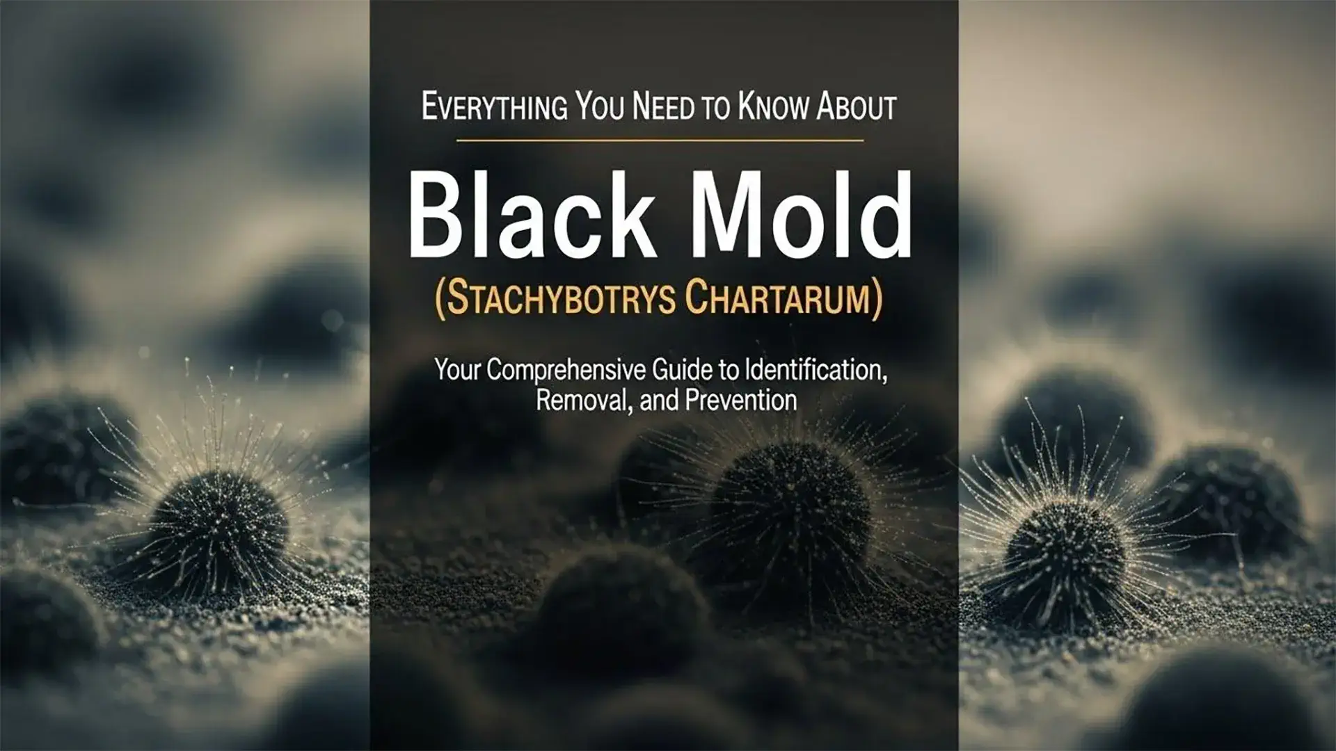 Dark mold growth on drywall near a bathroom ceiling, showing uneven patchy texture typical of moisture-damaged surfaces