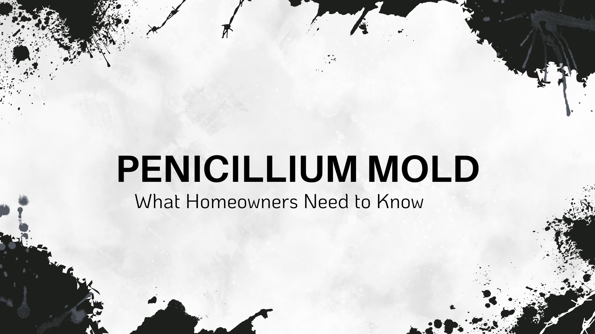 Penicillium Mold - White Background with Black Effects Around the Edges and the Title of This Post in the Middle