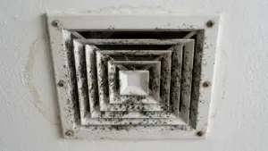 Black Mold in AC Unit Symptoms - An AC Vent with Mold on it