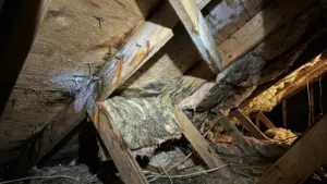 Attic Condensation: Causes, Warning Signs, and How to Stop It - A Picture of Attic Condensation in an Attic Being Checked by a Contractor