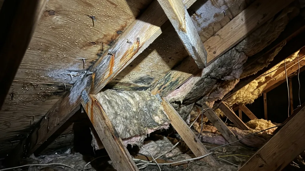 Attic Condensation: Causes, Warning Signs, and How to Stop It - A Picture of Attic Condensation in an Attic Being Checked by a Contractor