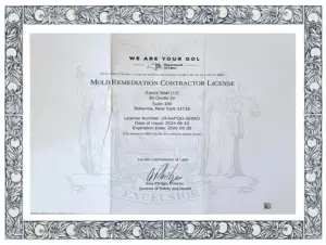 Zavza Seal (Owner of Mold Removal Experts) Mold Remediation License #26-6APQG-SHMO