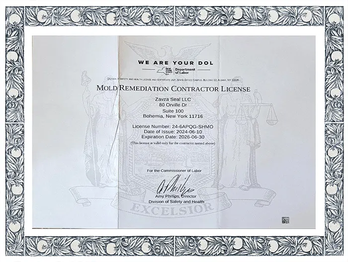 Zavza Seal (Owner of Mold Removal Experts) Mold Remediation License #26-6APQG-SHMO